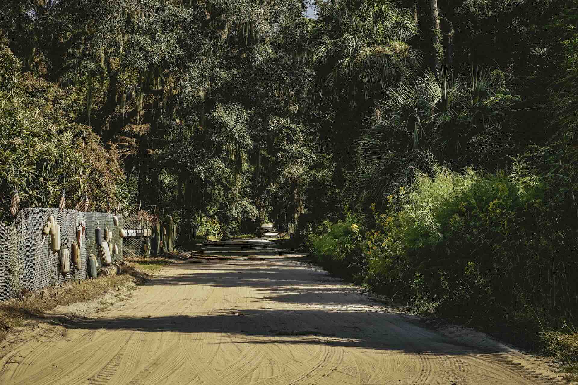 Sandy road through lush, tree-lined forest path