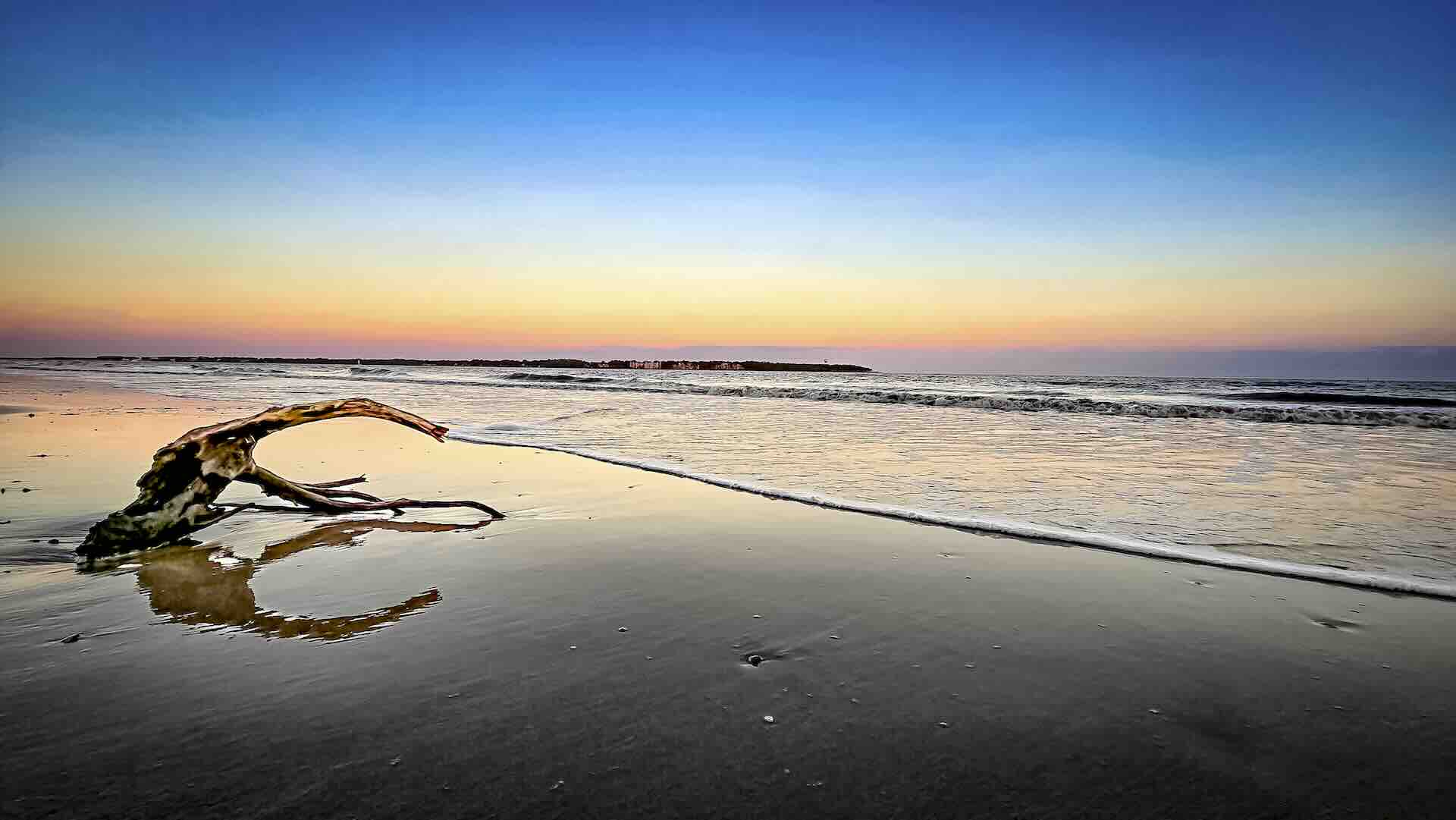 Sunset beach with driftwood reflection on water.