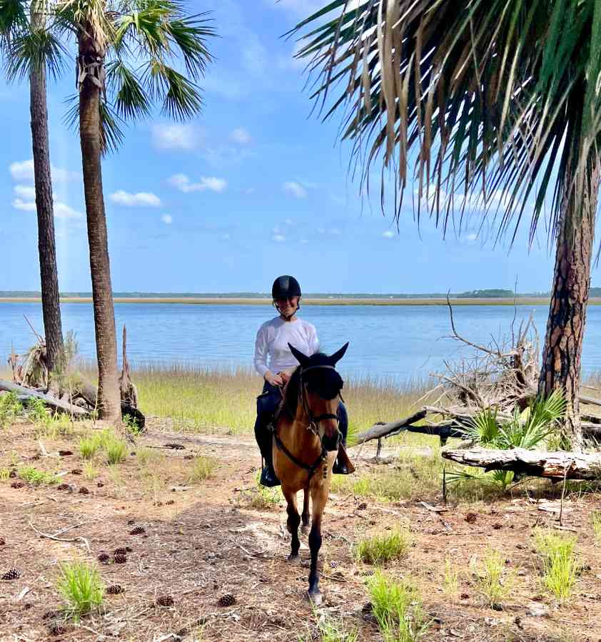 Person riding horse by lake under palm trees
