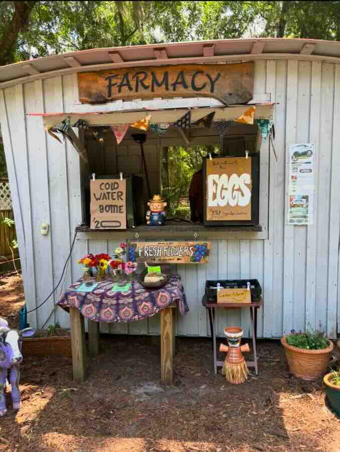 Farm stand selling eggs, water, and flowers.