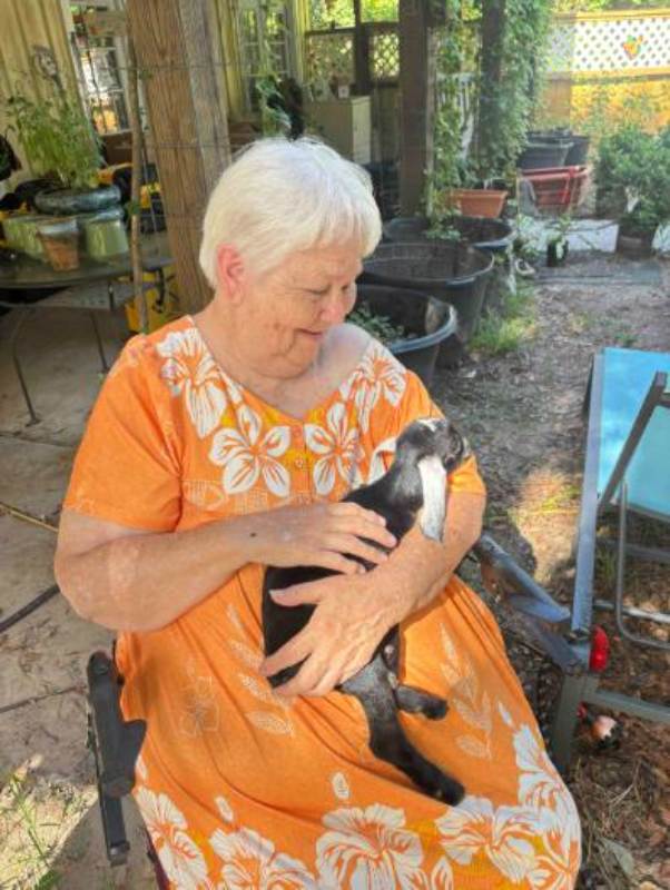 Woman holding baby goat outdoors