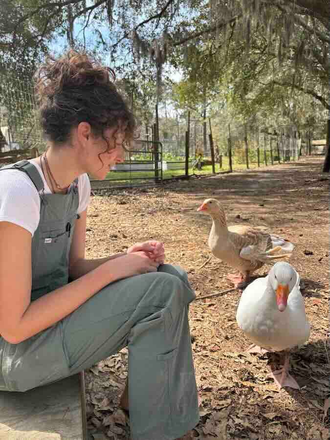 Person sitting with ducks outdoors