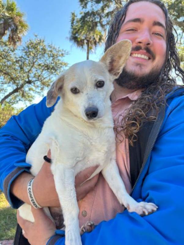 Person holding a small white dog outdoors.