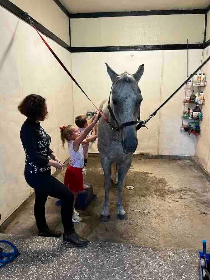 Children grooming a gray horse in a stable.