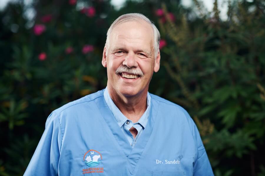 Dr. Dave in his blue veterinary clinic uniform.