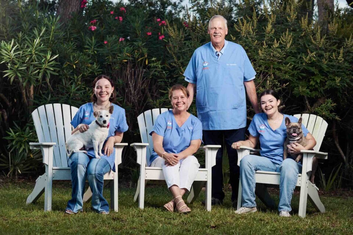 Veterinary team with dogs outdoors on chairs.